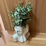 Central Pulse Варна