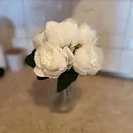 Central Pulse Апартаменты Варна