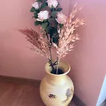 Central Pulse Варна