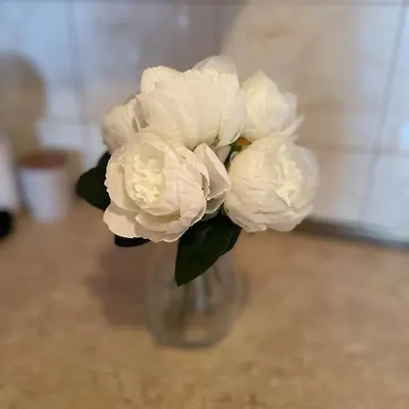 Central Pulse Appartement Varna